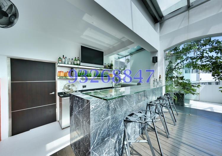Proximo (D10), Apartment #141943712